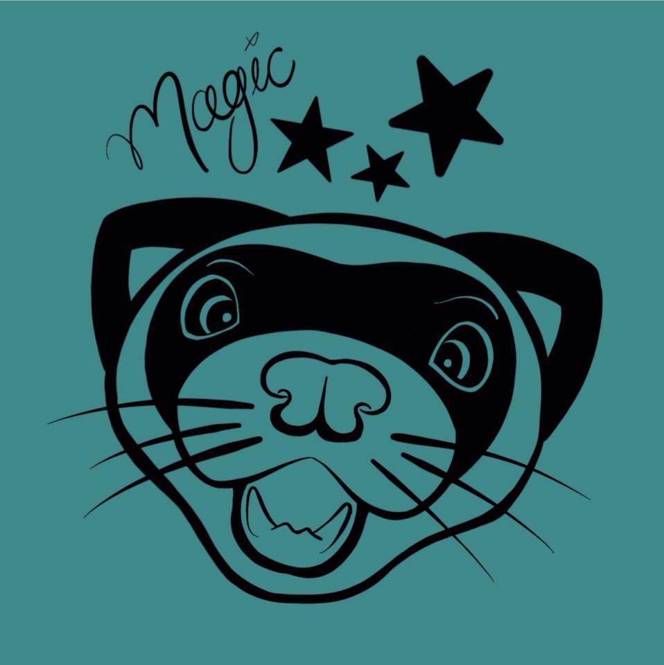 Magic Ferret Campers