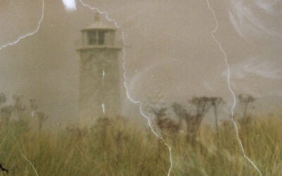 FESTIVAL BRINGS ART FROM THE LOCAL COMMUNITY TO LIFE